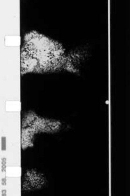 “He was born, he suffered, he died.”