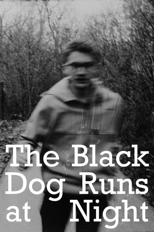 The Black Dog Runs At Night