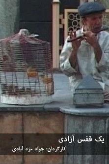 یک قفس آزادی