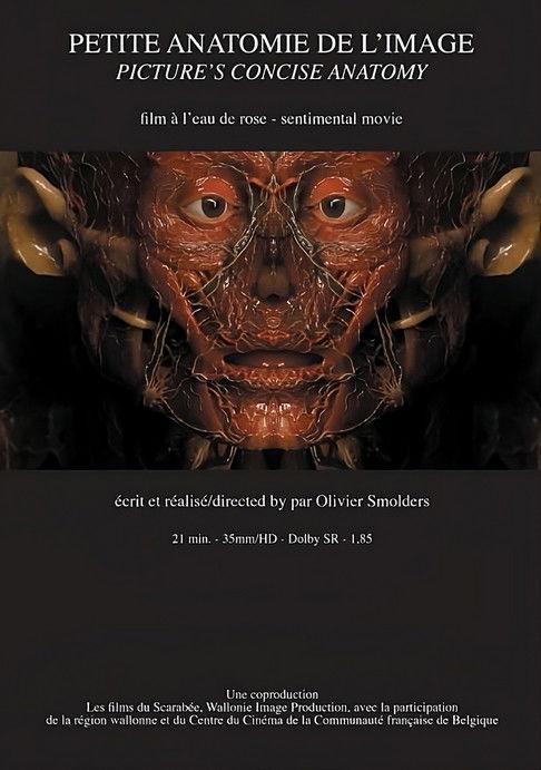 Petite anatomie de l'image