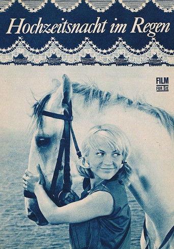 Wedding Night In The Drizzle