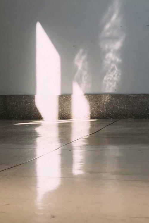 time space motion autumn