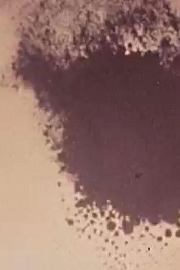 The Flight of Icarus