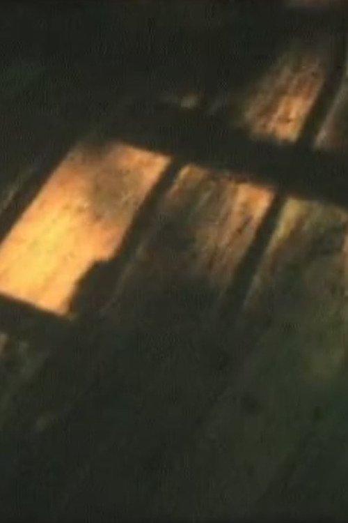 An Office Worker Thinks of Their Love and Home