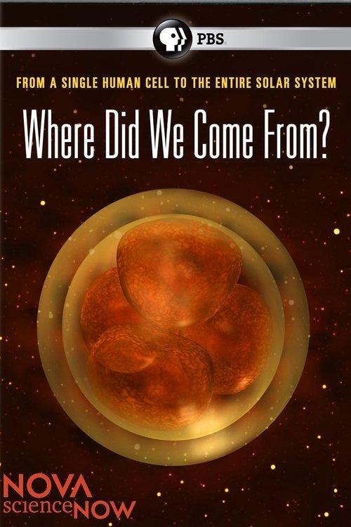 Where Did We Come From?