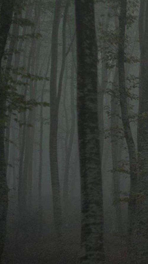 Refuge II: The Ice Path