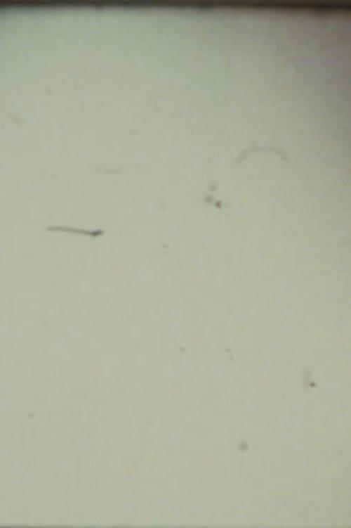 Arabic Numeral Series 13