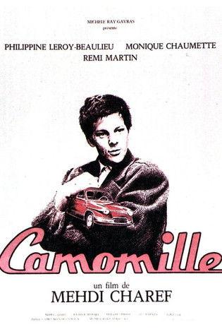 Camomille