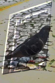 não tenho dormido muito mas continuo sonhando a cada piscada