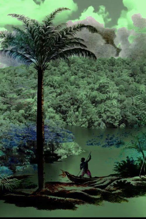 A conquista da floresta