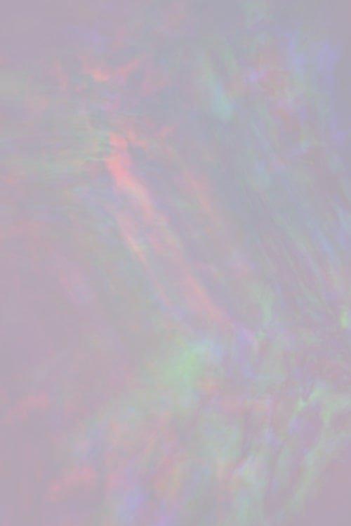 Within Without Horizon