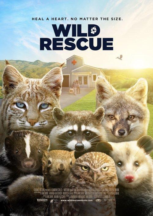 Wild Rescue