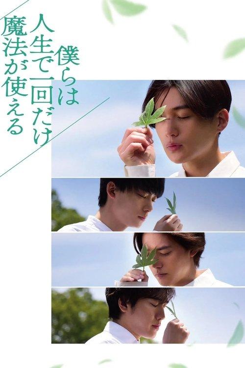 We Can Only Use Magic Once in Our Lives