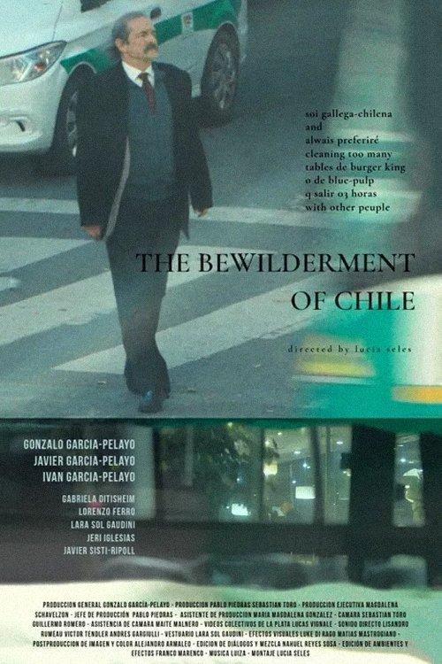 The Bewilderement of Chile