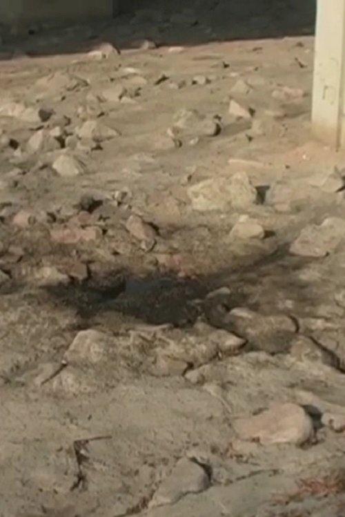 2005.1 Sandy River Water