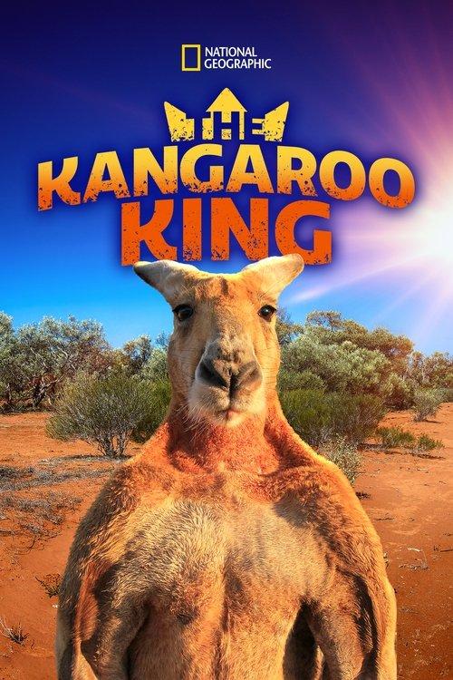 The Kangaroo King