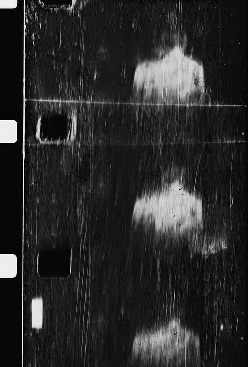 (for once I dreamed of you)