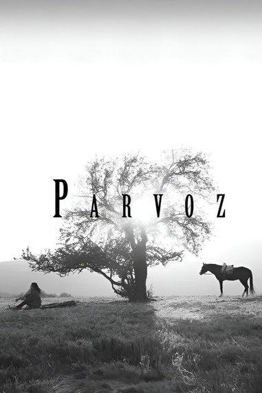 Parvoz