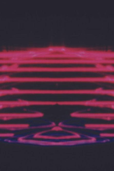 Fresh Honey from the Lion’s Mouth