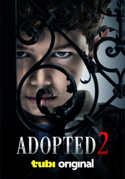 Adopted 2