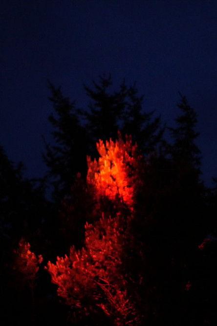 I'll Remember You as You Were, Not as What You'll Become