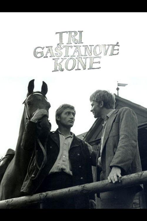 Tri gaštanové kone