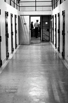 A Warehouse for Bodies