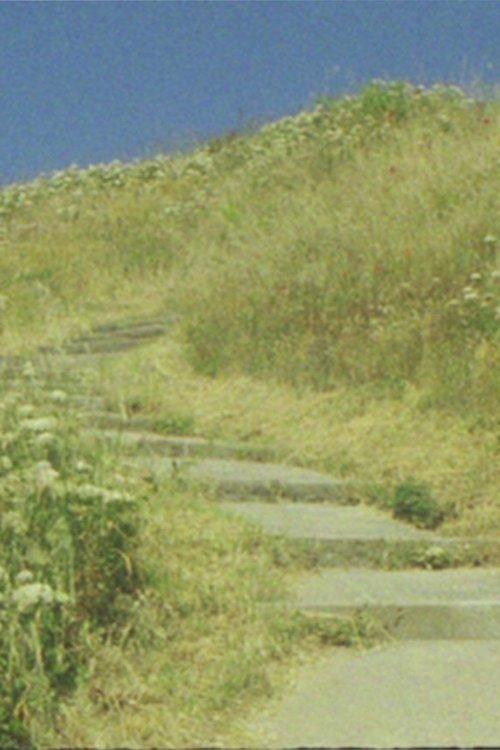 The seagull... and the glory of God