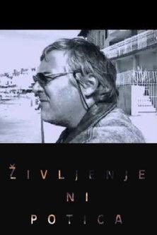 Zoran Predin - Life Is Not a Nut Roll