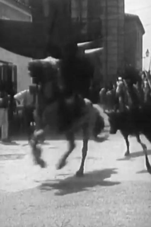 Course de taureaux provençale