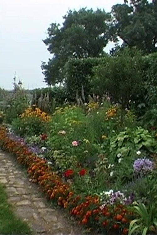 Allons-Y Alonzo: Souvenirs of a Landscape