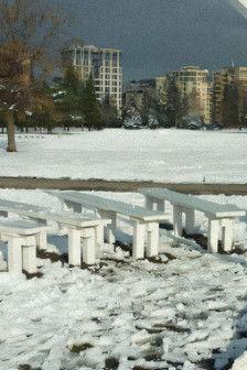 Something like Hyde Park