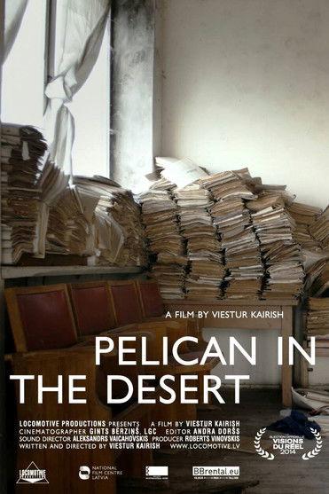 Pelican in the Desert