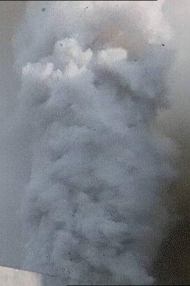 Una lepre con la faccia di bambina