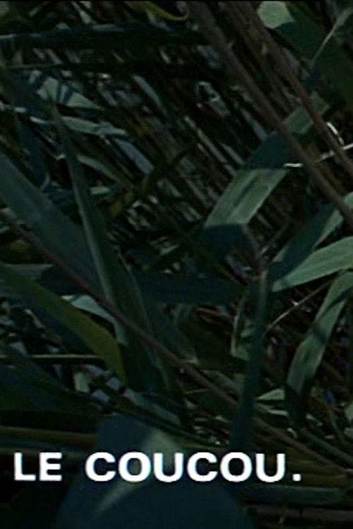 Le coucou