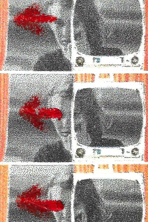 My Glances Went Like Gleaners