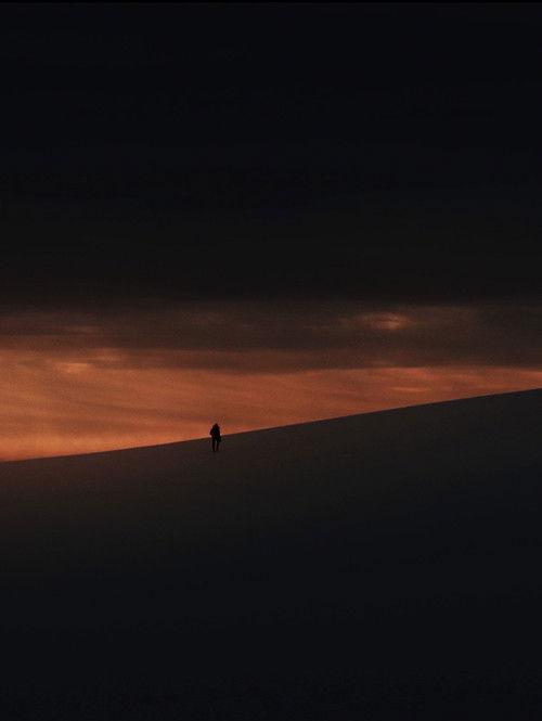 Dove gli Alberi non Parlano