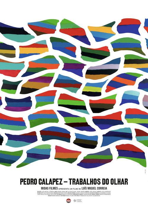 Pedro Calapez: Trabalhos do Olhar