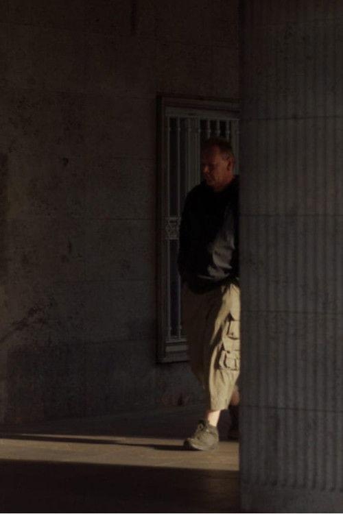 The Perfect Spectator