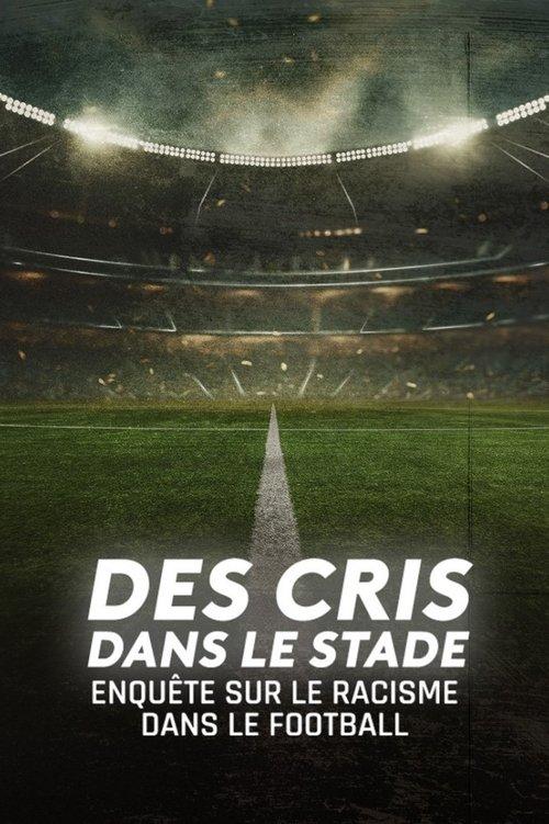 Des cris dans le stade, enquête sur le racisme dans le football