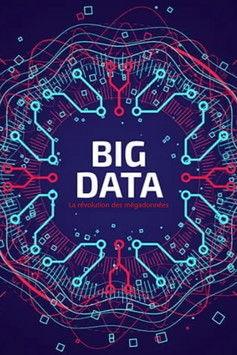 Big Data - La révolution des mégadonnées