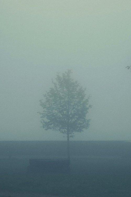 Great Are the Eyes of a Dead Father