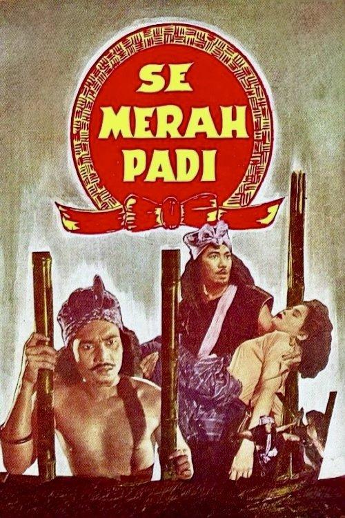 Semerah Padi