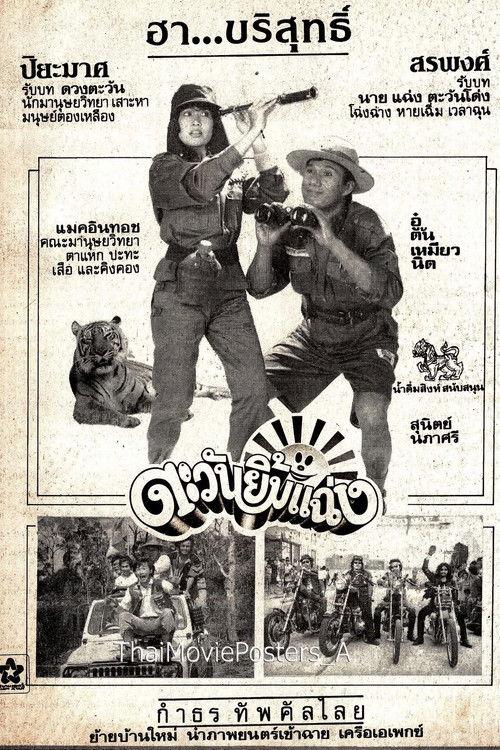 ตะวันยิ้มแฉ่ง