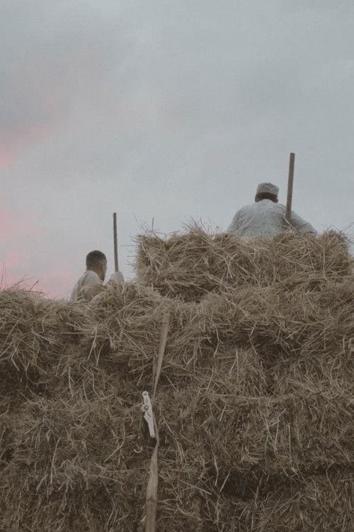 A Crypto Rush Aftermath