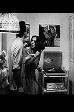 Tales of a Honeycomb