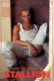 Under The Sign Of The Stallion