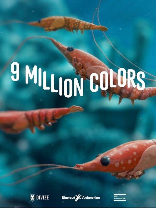 9 Million Colors