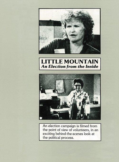 Little Mountain: An Election from the Inside