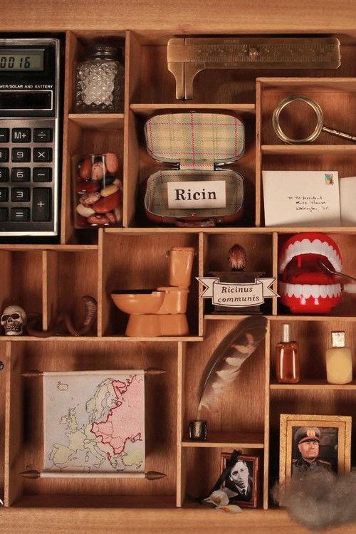 Memoirs of Vegetation